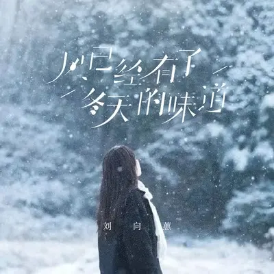 风已经有了冬天的味道封面