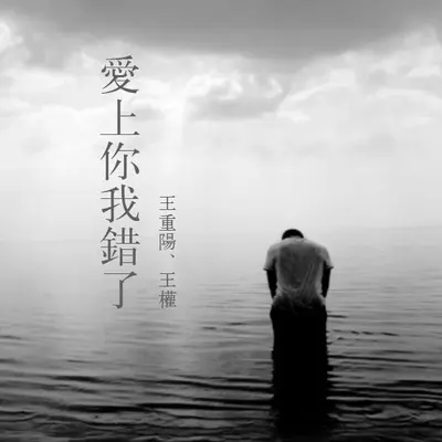 爱上你我错了封面