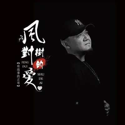风对树的爱(伴奏)封面