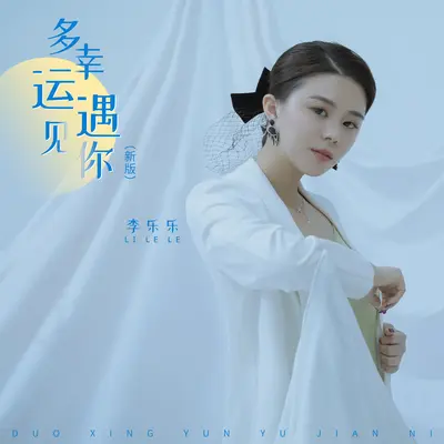 多幸运遇见你(新版)(新版)封面