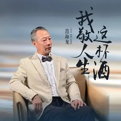 我敬人生这杯酒封面
