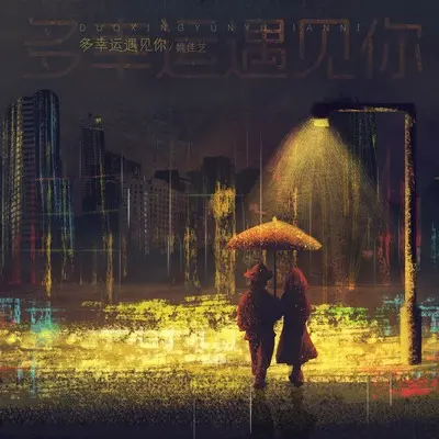 多幸运遇见你封面