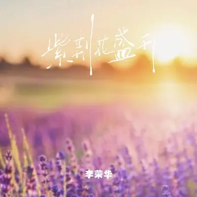 紫荆花盛开（照亮你的脸庞）封面