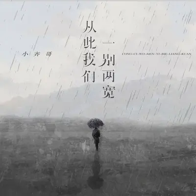 从此我们一别两宽封面