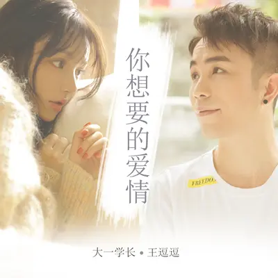 你想要的爱情封面