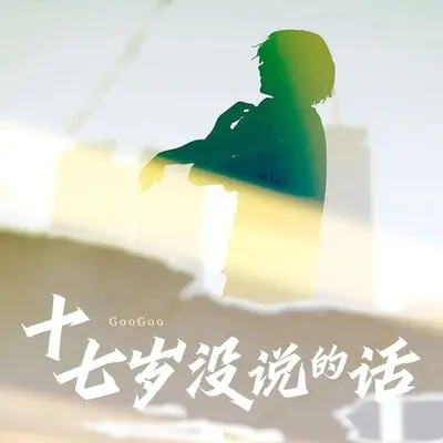 十七岁没说的话封面