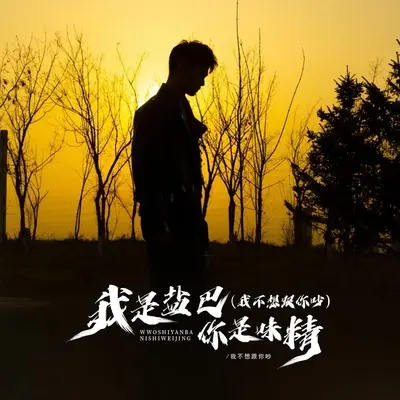 我不想跟你吵(我是盐巴你是味精) - 我不想跟你吵封面