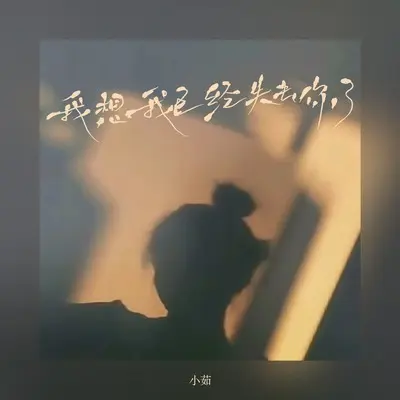 我想我已经失去你了封面