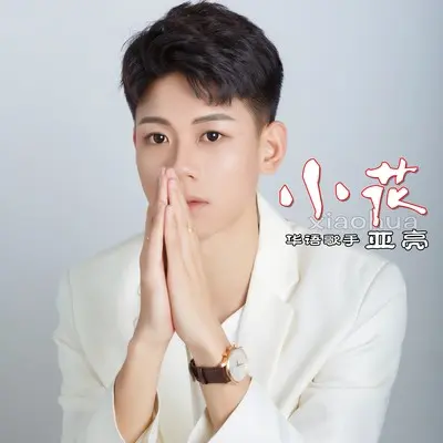 小花(DJ小刚版)(DJ小刚版)封面