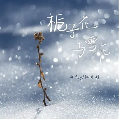 栀子花与雪花(DJ版)(DJ版) - 白允y / 孙才垣封面