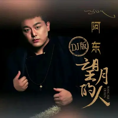 望月的人(DJ默涵版)(DJ默涵版) - 阿东封面