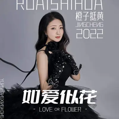如花似爱(伴奏) - 橙子挺黄封面