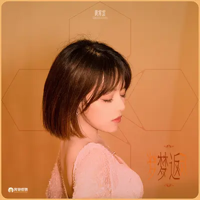 梦返(网剧《梦见狮子》主题曲)封面