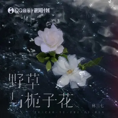野草与栀子花(DJ李想版)(DJ李想版) - 林三七封面