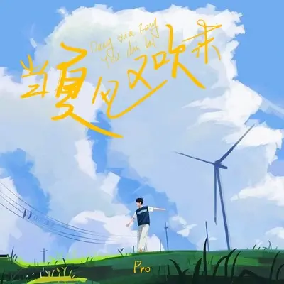 当夏风又吹起封面