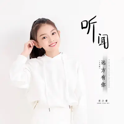 听闻远方有你(DJ小勤版)(DJ小勤版)封面