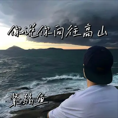 春泥 1.1x(1.1鼓版)(1.1鼓版)封面