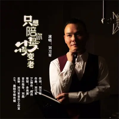 只想陪你慢慢变老封面