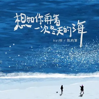 想和你再看一次冬天的海封面