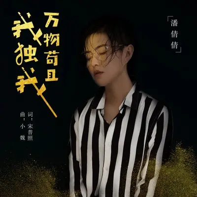 万物苟且我独我（DJ沈念版）(完整版)(完整版)封面