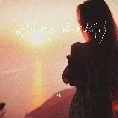 我想我已经失去你了封面