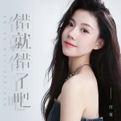 错就错了吧 (DJEva版)封面