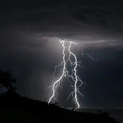 忘不掉的你（你的所有）(伴奏)封面