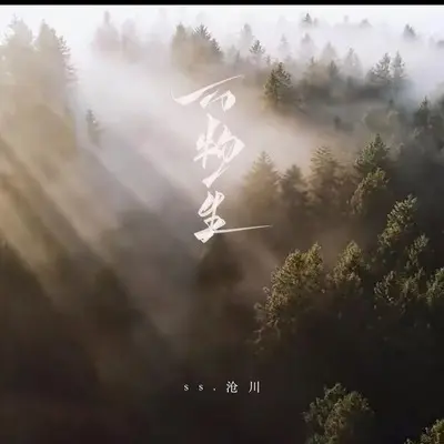 万物生(车载加速版)(车载加速版)封面