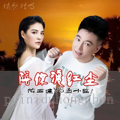 陪你渡红尘(对唱版)(对唱版) - 孟小笛 / 陈玉建封面