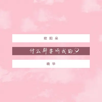 什么都要听我的封面