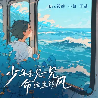 走啊少年去见一见命运里的风(Live版)(Live版)封面