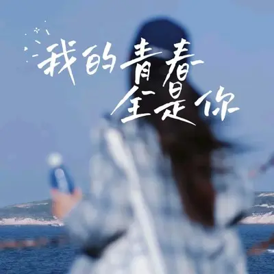 我的青春全是你封面