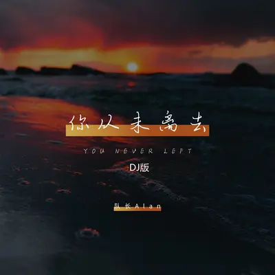 你从未离去(烟嗓版)(烟嗓版)封面