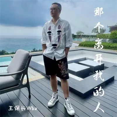 那个离开我的人(伴奏)(伴奏)封面