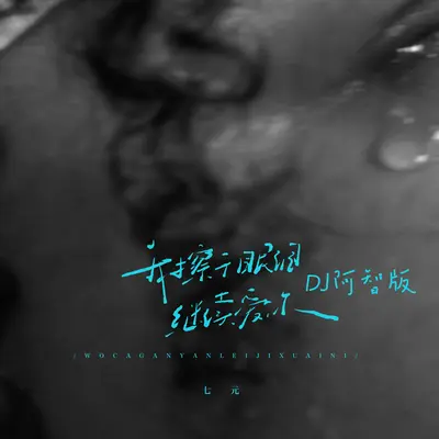 我擦干眼泪继续爱你(DJ阿智版)(DJ阿智版)封面
