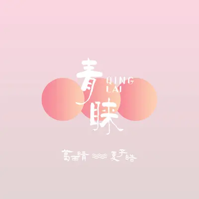 青睐封面