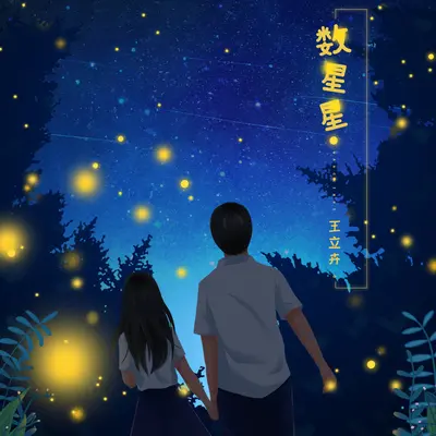 数星星(完整版)(完整版)封面