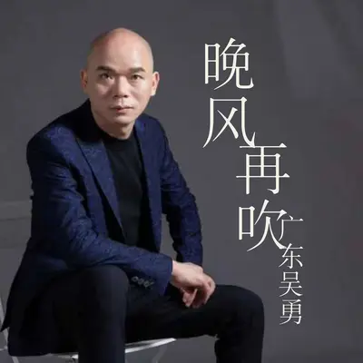 晚风再吹(DJ阿本版)(DJ阿本版)封面