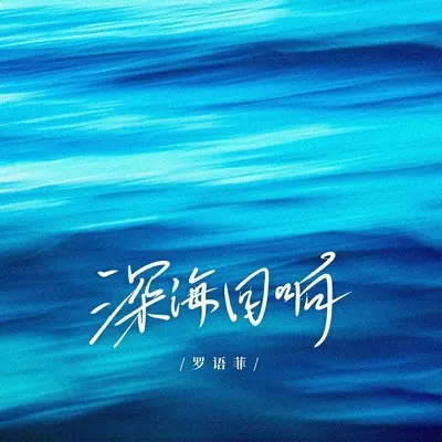 深海回响封面
