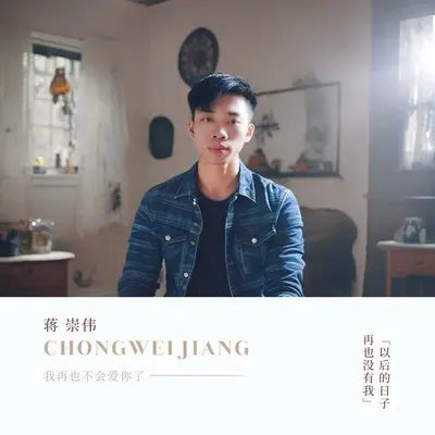 我再也不会爱你了封面