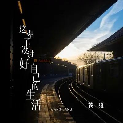 这辈子没过好自己的生活(DJ版)(DJ版)封面