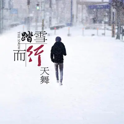 踏雪而行(伴奏)封面