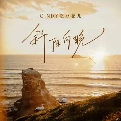斜阳向晚封面