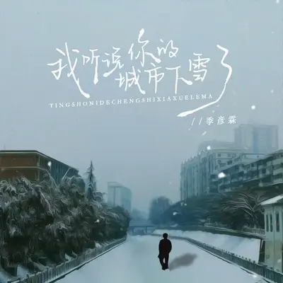 我听说你的城市下雪了 - 季彦霖封面