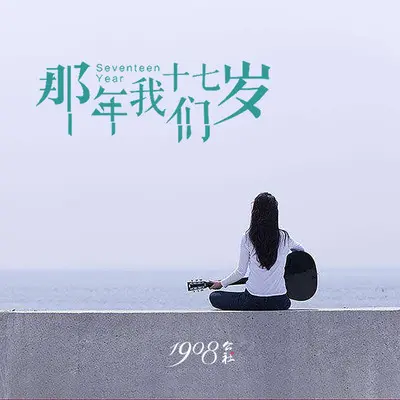 那年我们十七岁封面