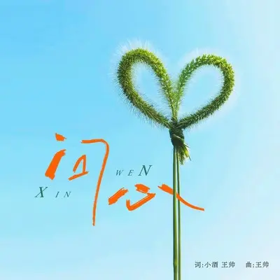 问心(伴奏)封面