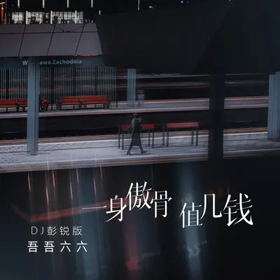 一身傲骨值几钱(DJ彭锐版)(DJ彭锐版)封面