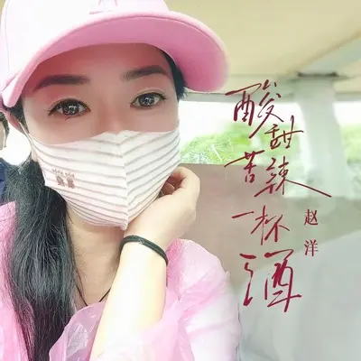 酸甜苦辣一杯酒(DJ九零版)(DJ九零版)封面