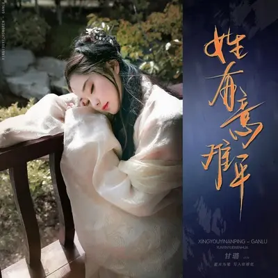 姓有意难平封面