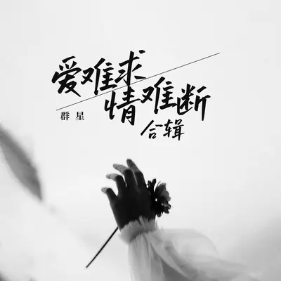 爱难求情难断(对唱版)(对唱版)封面